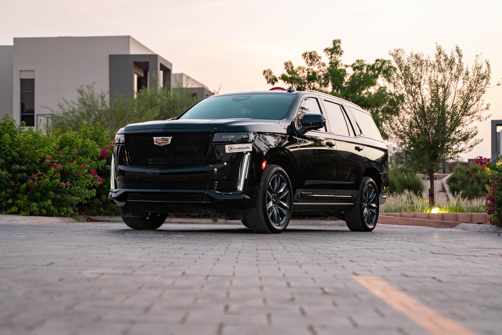 Cadillac Escalade Black Y