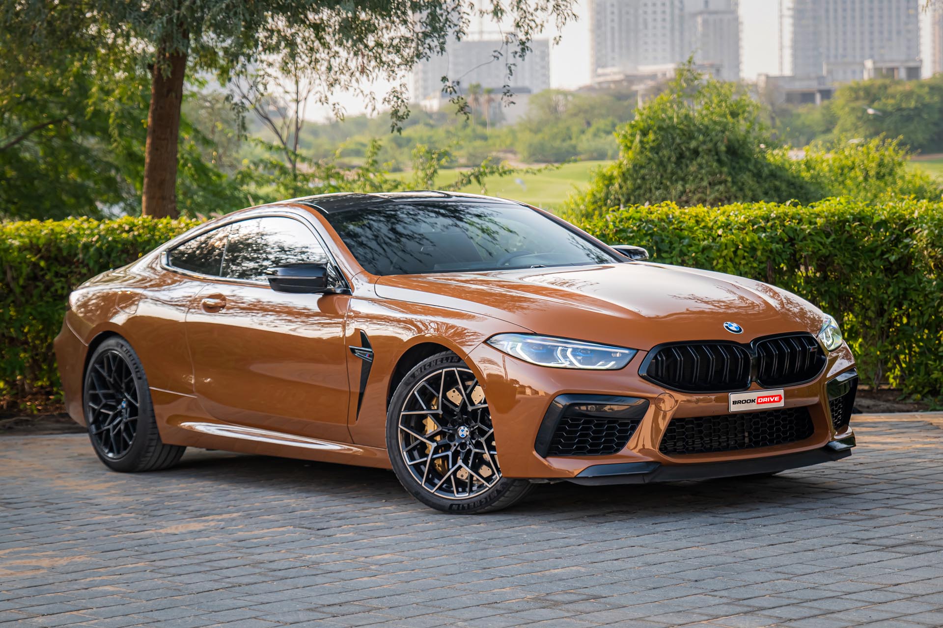 BMW M8 Competition Zanzibar II Metallic