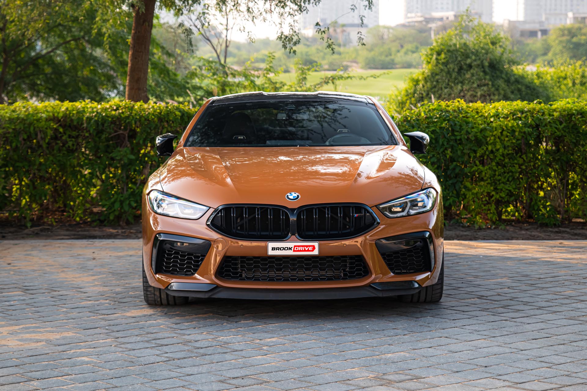 BMW M8 Competition Zanzibar II Metallic