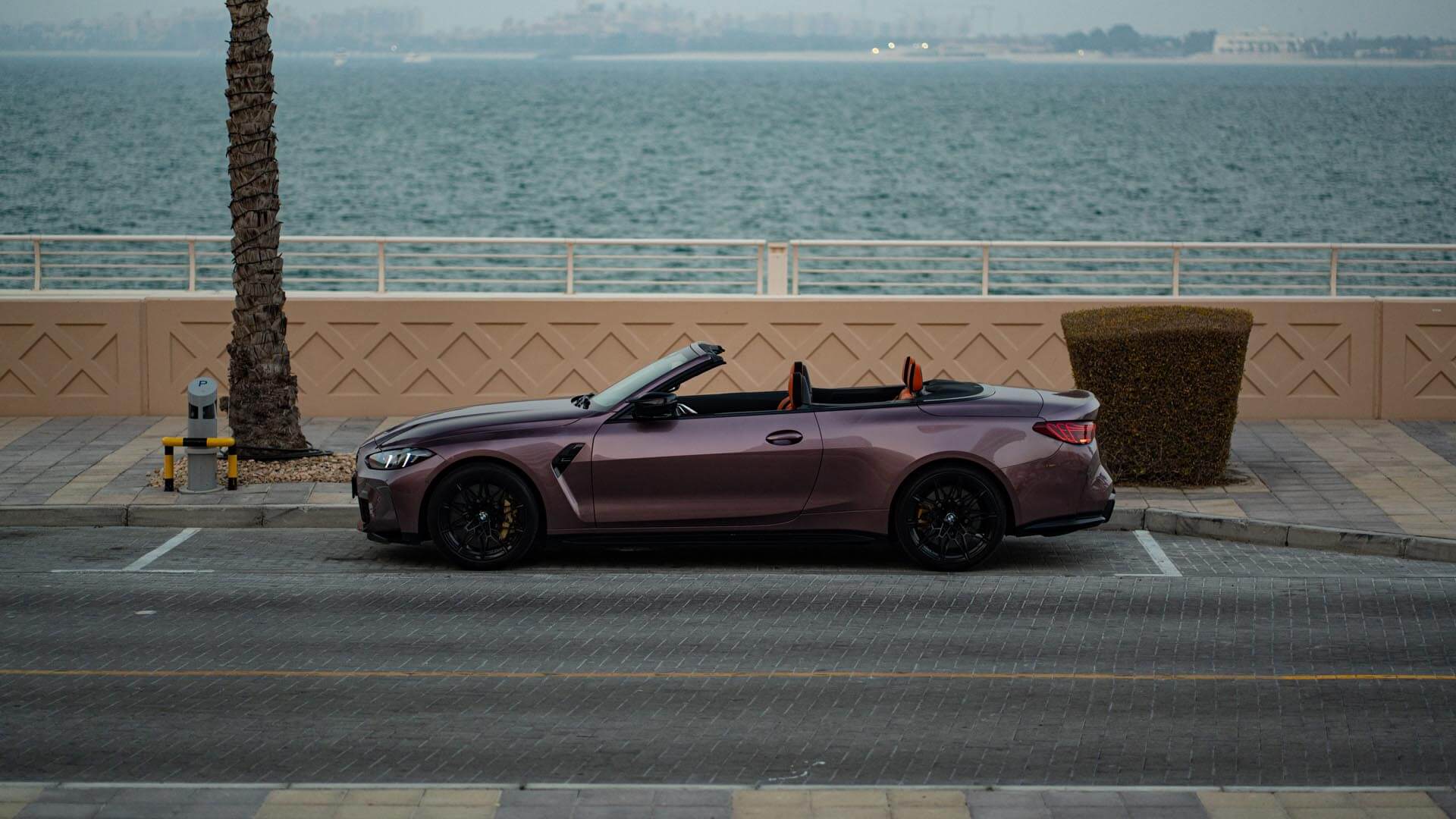 BMW M4 Velvet Orchid